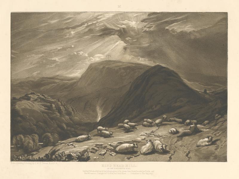 F025D XIII. Hind-Head Hill