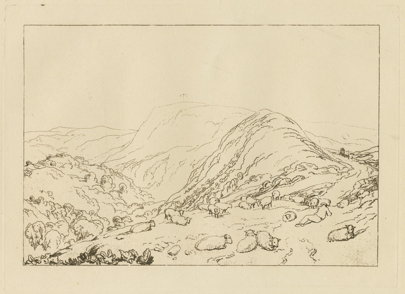 state: etc ad0029 etc