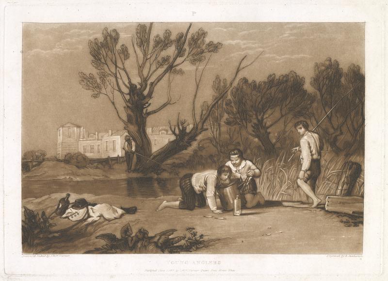 state: iii cvh4593 iii