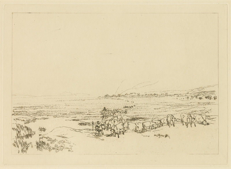 state: etc2 ad0062 etc2