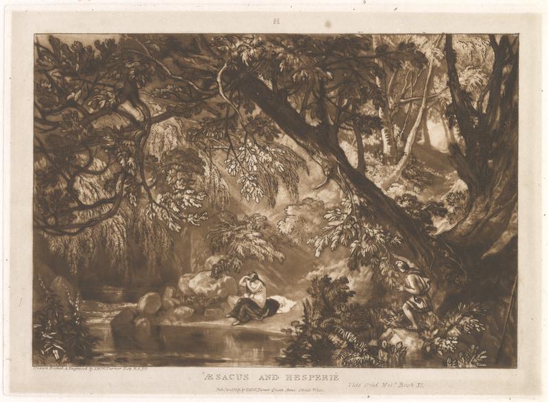 F066 Aesacus and Hesperie.