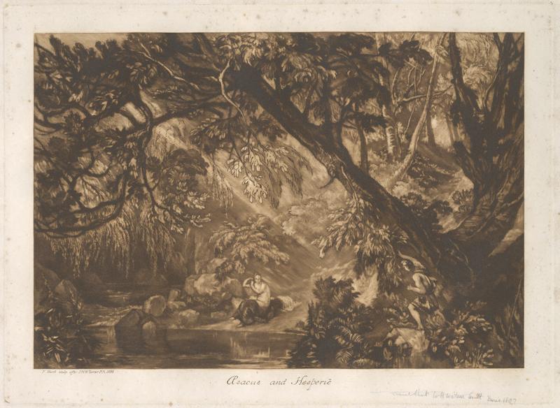 F066S Aesacus and Hesperie