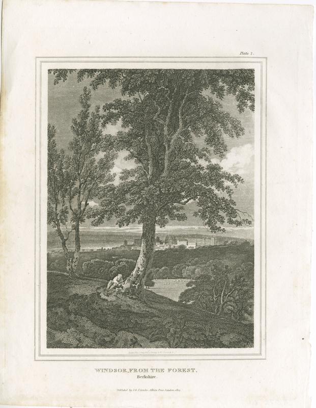 state: iii cvh1919 iii