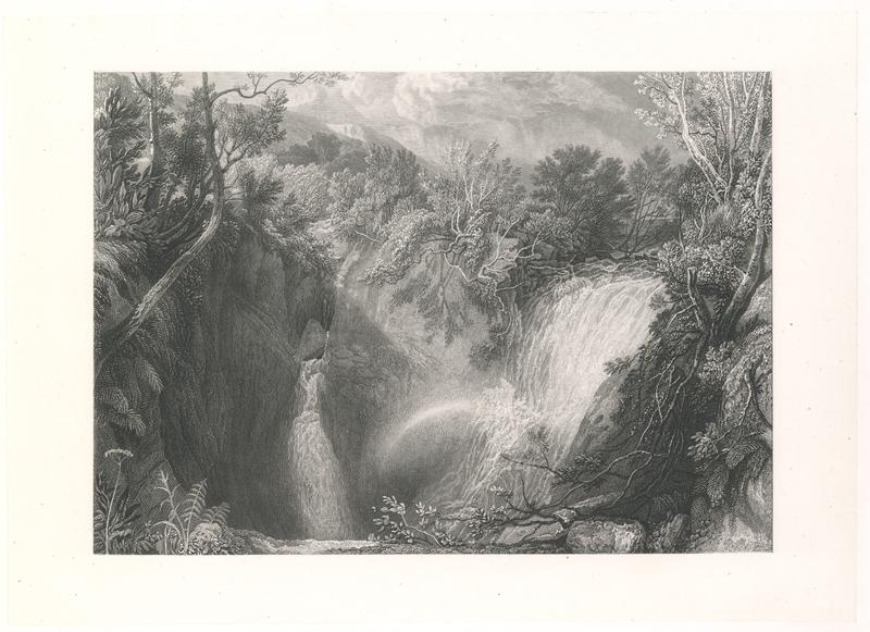 state: C cvh1262 C