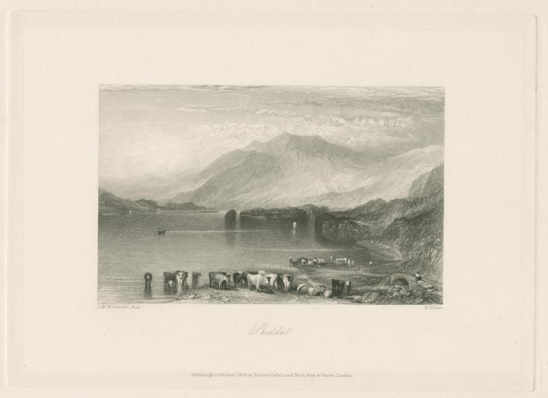 state: ii cvh2136 ii
